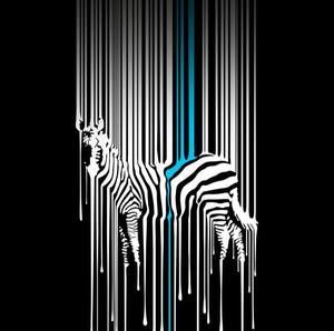 Meet your Posher, Joshua